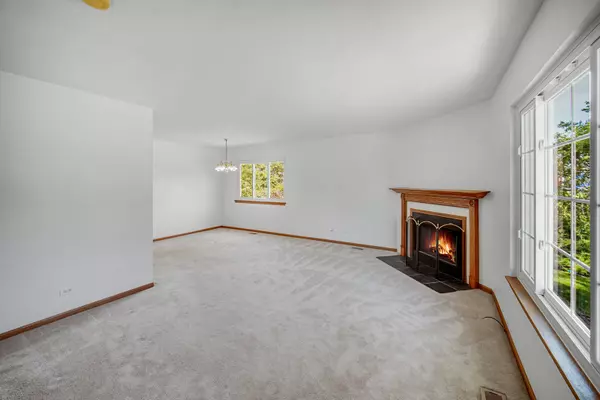 Romeoville, IL 60446,713 Arbury CT