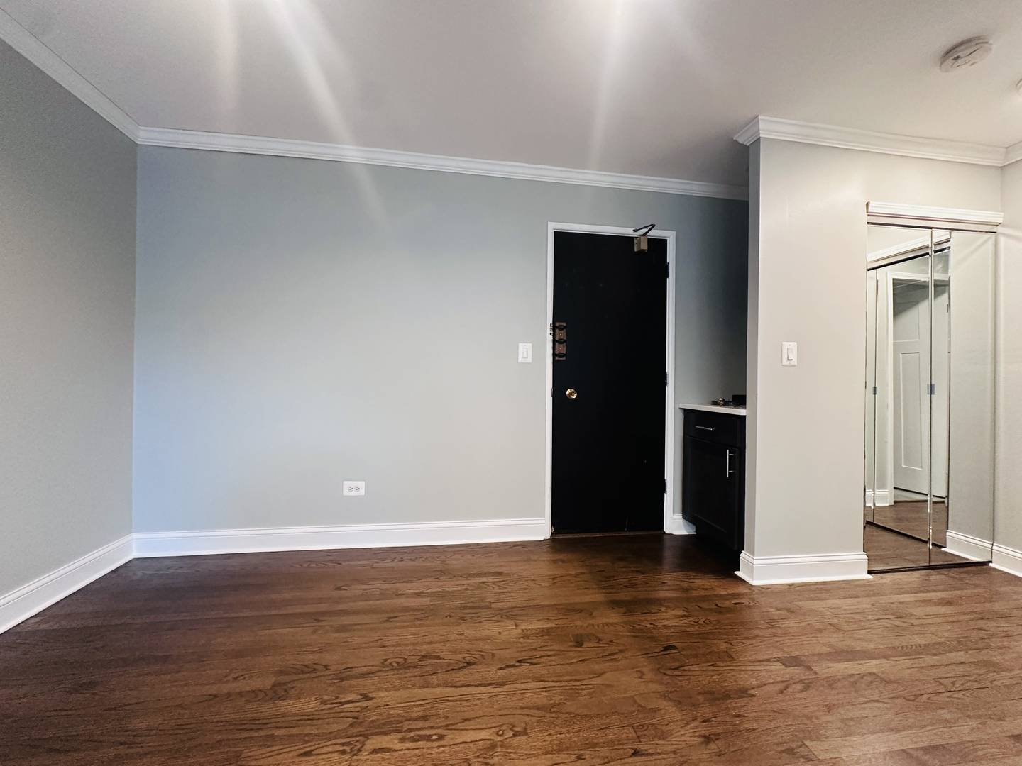 Chicago, IL 60657,541 W OAKDALE AVE #413