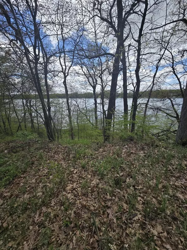 Vandalia, MI 49095,17769 Paradise Lake RD