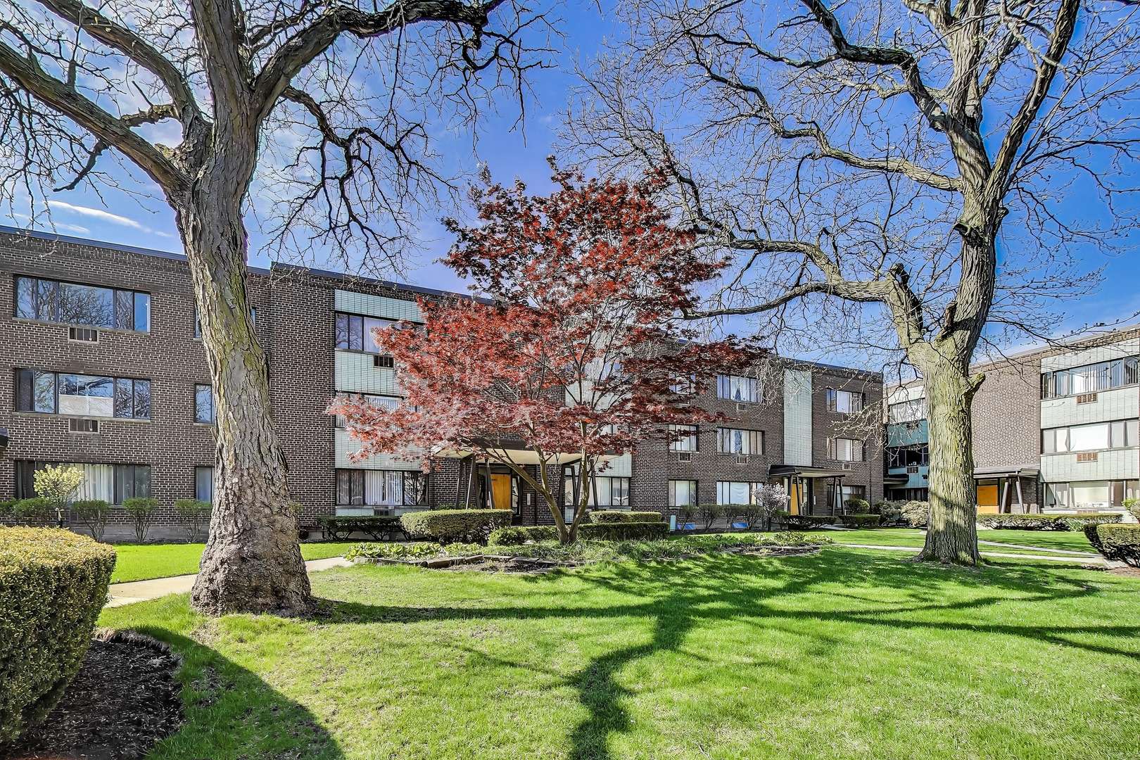 Chicago, IL 60659,3441 W Bryn Mawr AVE #1E
