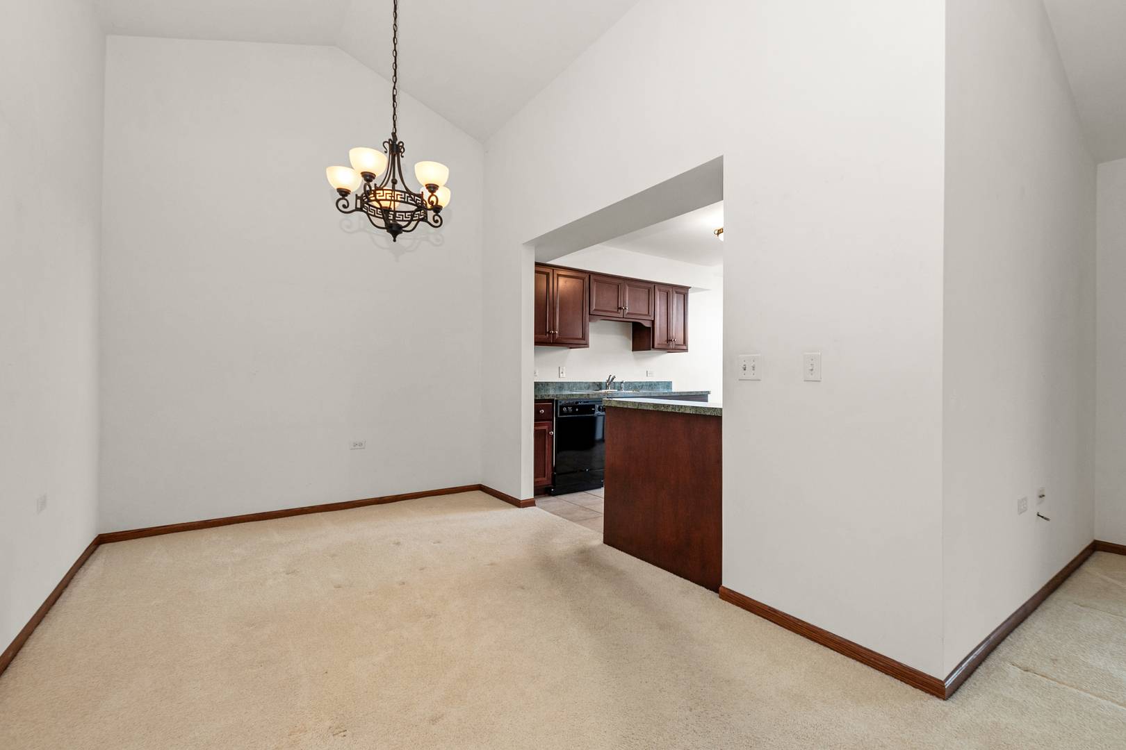 Tinley Park, IL 60477,6248 Misty Pines DR #4