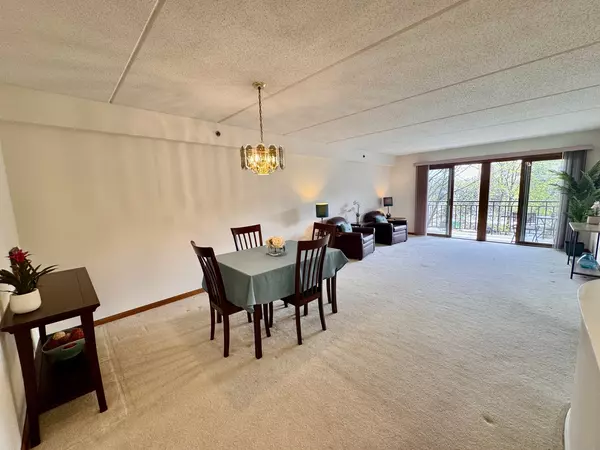 Mount Prospect, IL 60056,5 S Pine ST #403