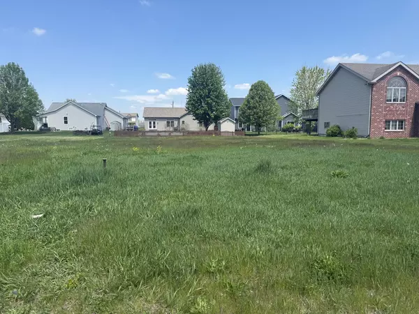 1018 Madison AVE, Braidwood, IL 60408