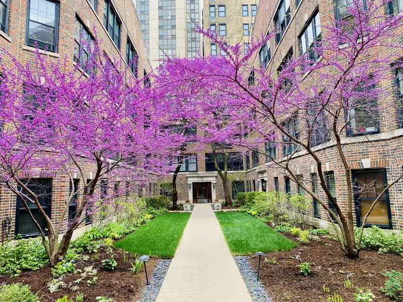 2315 N Commonwealth AVE #2N, Chicago, IL 60614