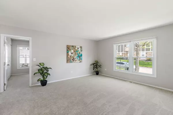 Schaumburg, IL 60193,1030 Newport Harbor