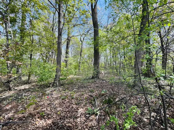Lake Villa, IL 60046,34871 N LAKE SHORE DR