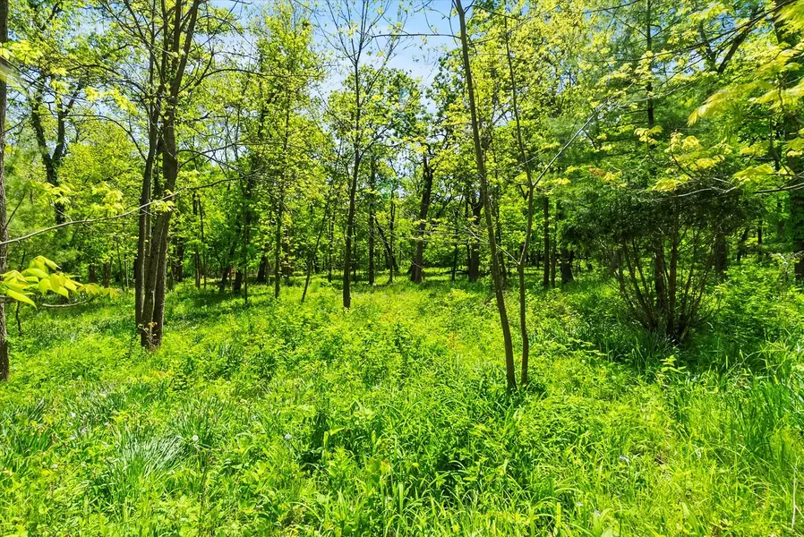 26359 N Hickory RD, Mundelein, IL 60060