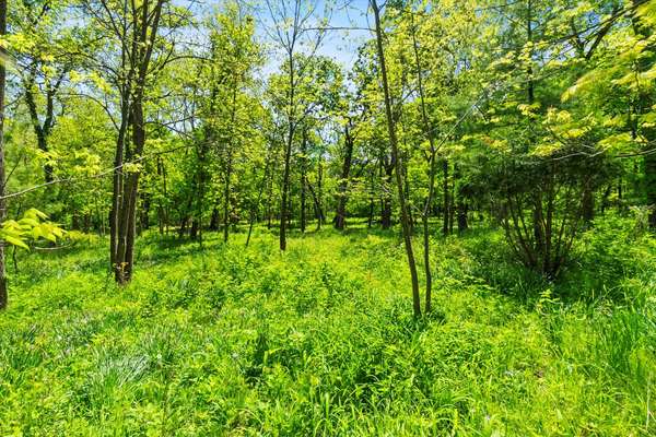 26359 N Hickory RD, Mundelein, IL 60060