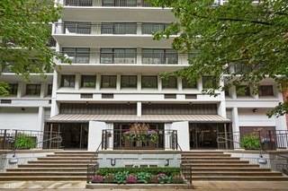 Chicago, IL 60610,1430 N ASTOR ST #7A