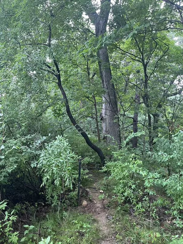 Putnam, IL 61560,Lot 392 Lake Thunderbird WS 2 DR