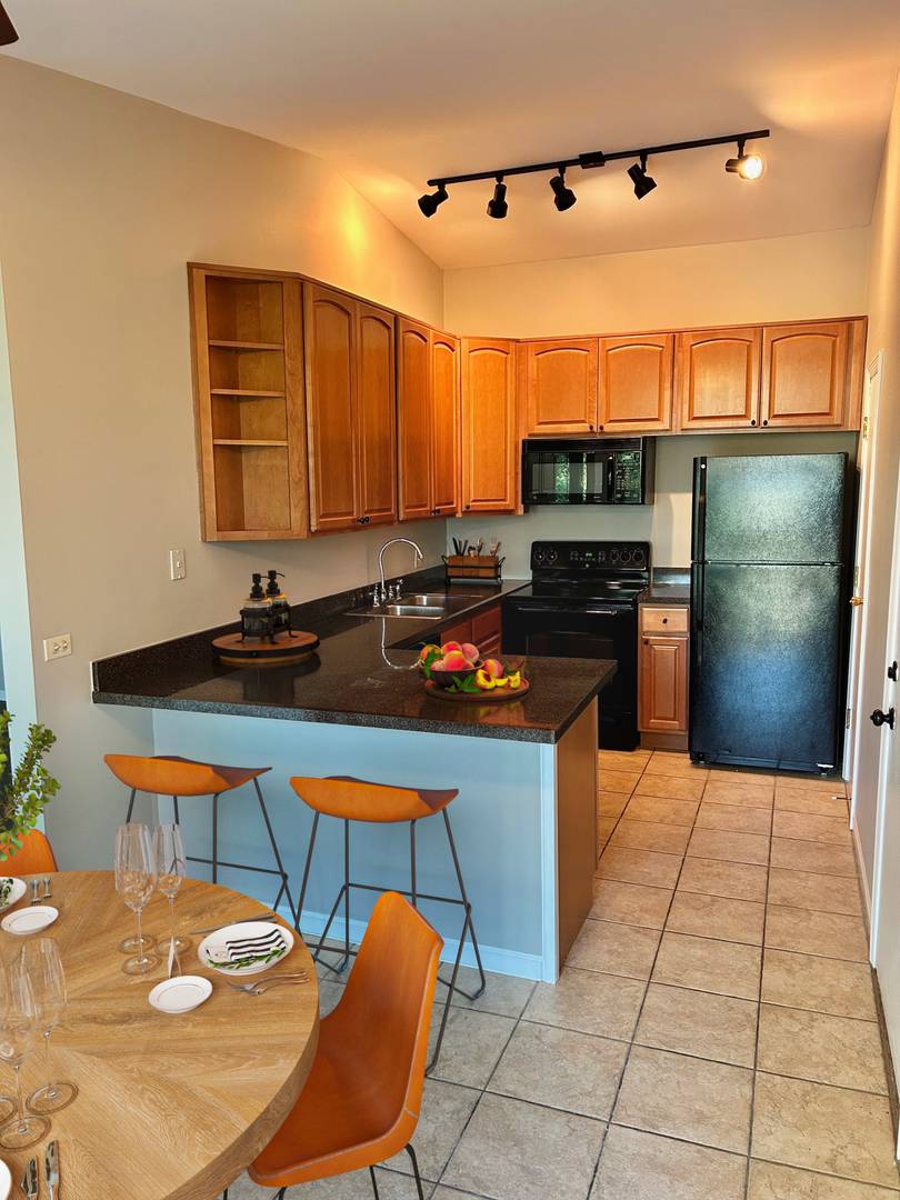 Lisle, IL 60532,6019 FOREST VIEW RD #2B