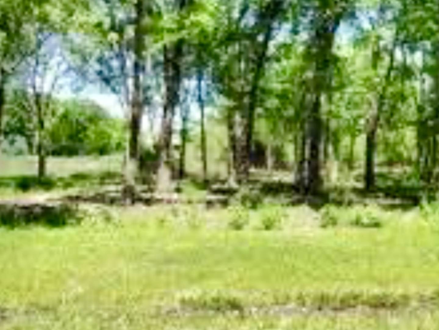 9911 E York House RD, Beach Park, IL 60087