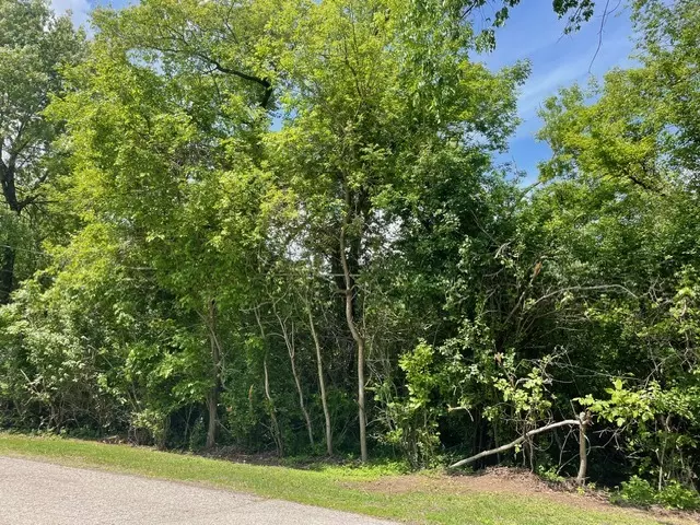 Mchenry, IL 60051,Lot 0 Pine ST S