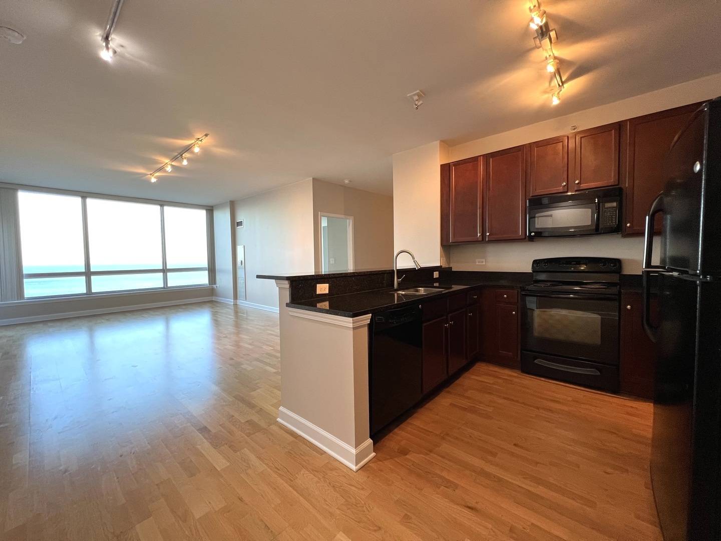 Chicago, IL 60616,1901 S Calumet AVE #2602