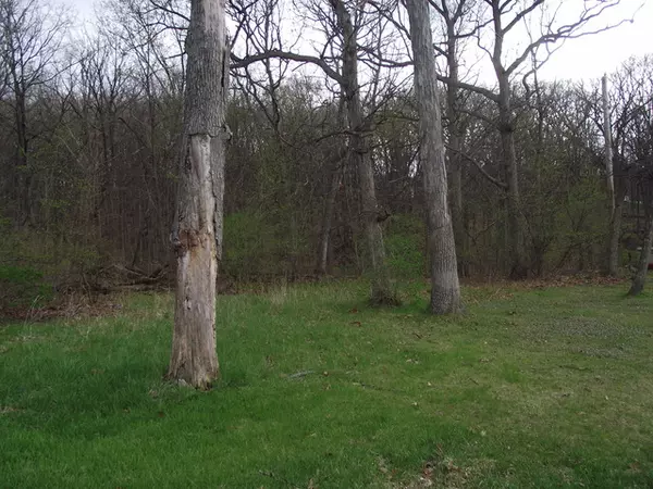 lot 012 Tuscola AVE, St. Charles, IL 60174