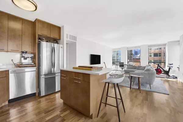 Chicago, IL 60611,260 E CHESTNUT ST #2304