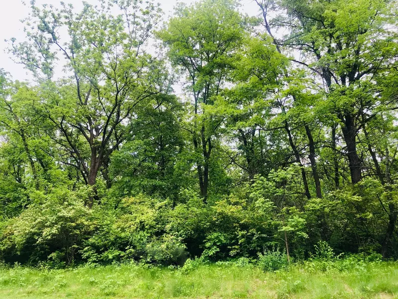 704 Echo (Lot 21) TRL, Marengo, IL 60152
