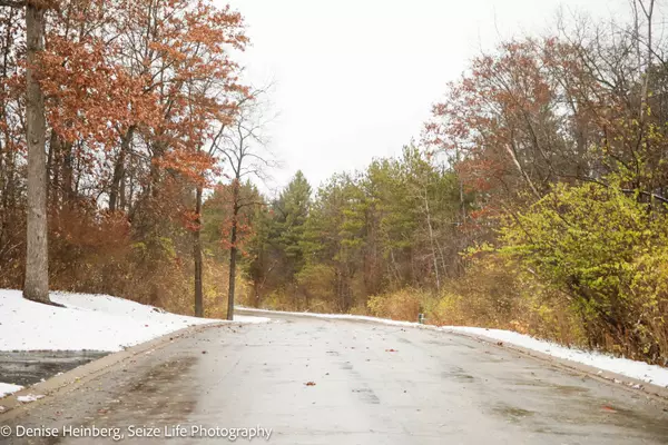 Marengo, IL 60152,911 Echo (Lot 5) TRL