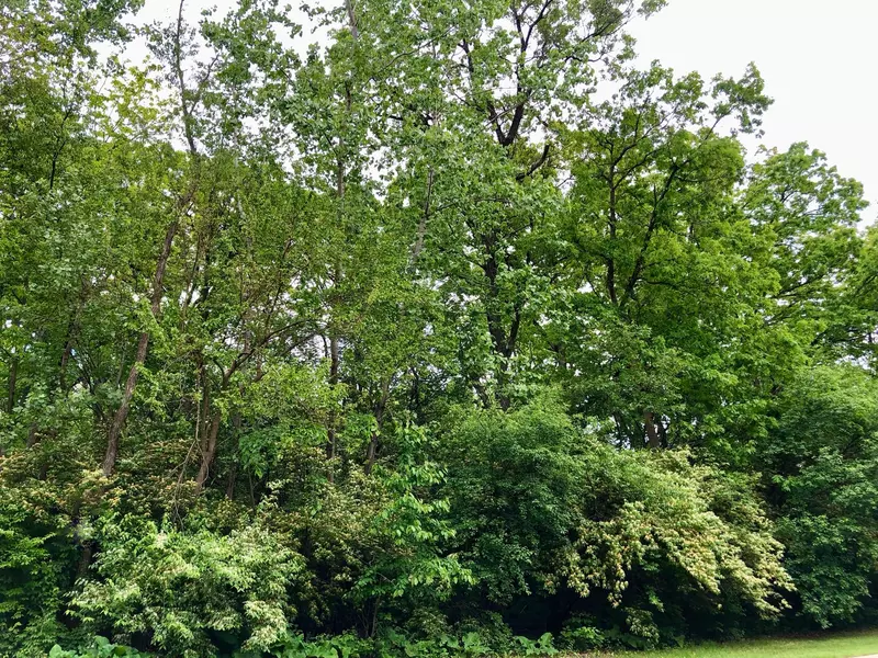 910 Echo (Lot 6) TRL, Marengo, IL 60152