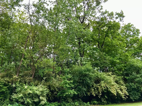910 Echo (Lot 6) TRL, Marengo, IL 60152