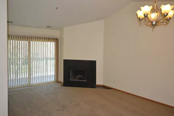 Buffalo Grove, IL 60089,641 Hapsfield LN #304