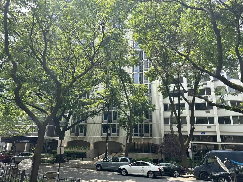 1340 N Dearborn ST #2C, Chicago, IL 60610