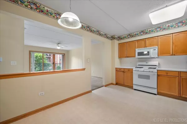 Wheaton, IL 60187,455 W Front ST #307