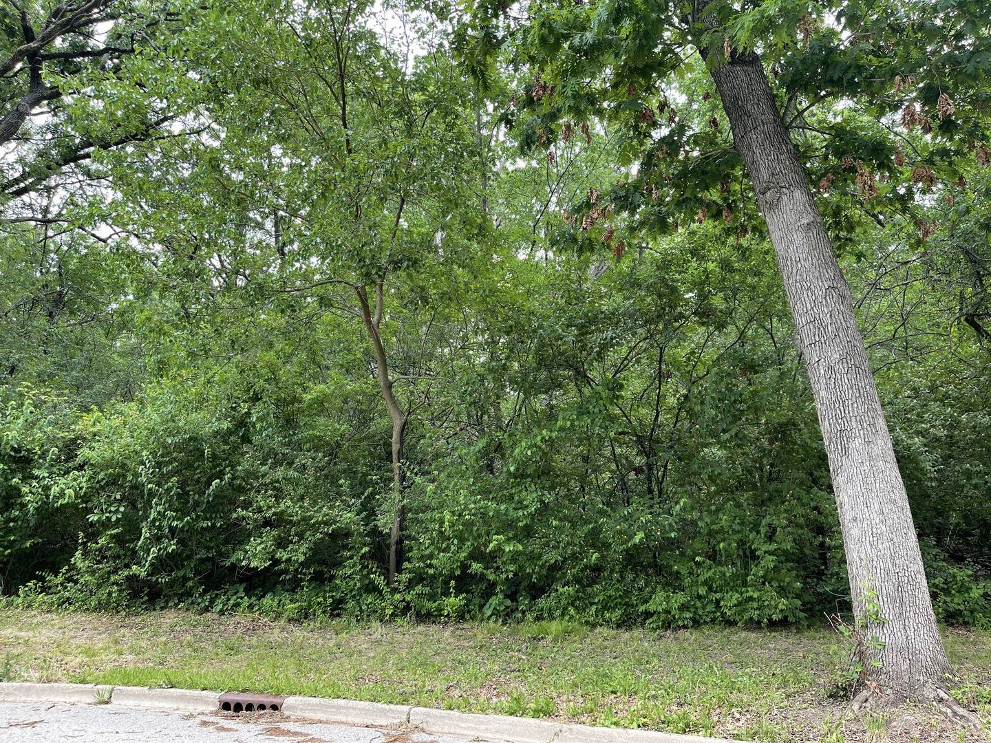 Mchenry, IL 60050,7220 Forest Oak DR
