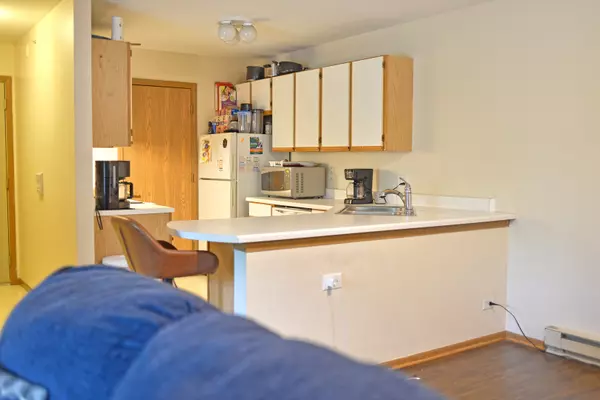 Round Lake Beach, IL 60073,1584 W Crystal Rock CT #2B