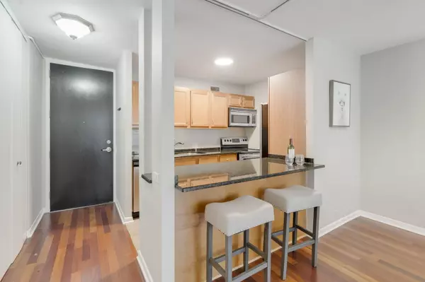 Chicago, IL 60611,535 N Michigan AVE #2205