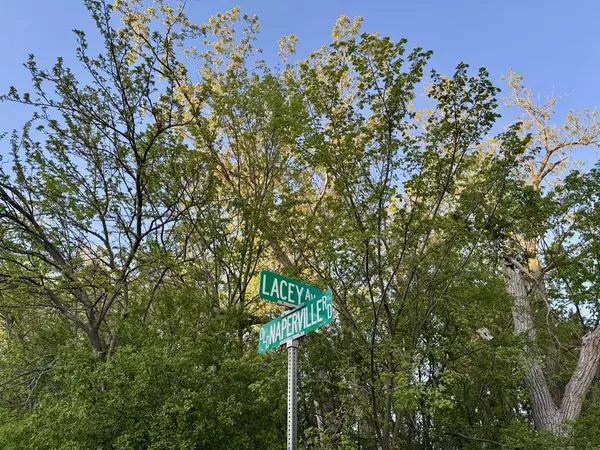 Naperville, IL 60563,Lot 17 Lacey AVE