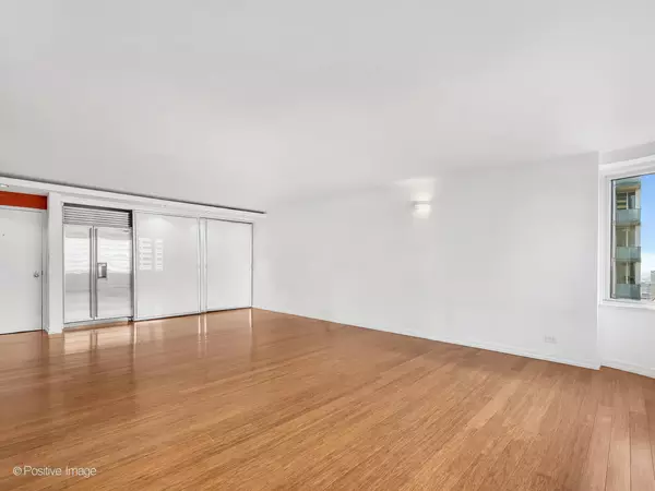 Chicago, IL 60611,211 E Ohio ST #2707