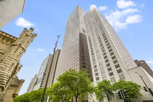 161 E Chicago AVE #49B, Chicago, IL 60611