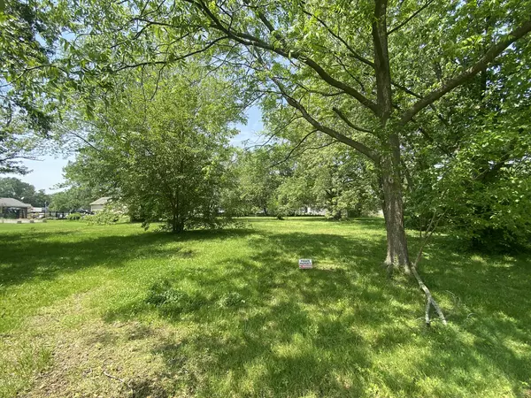 0 E South Railroad ST, Braceville, IL 60407