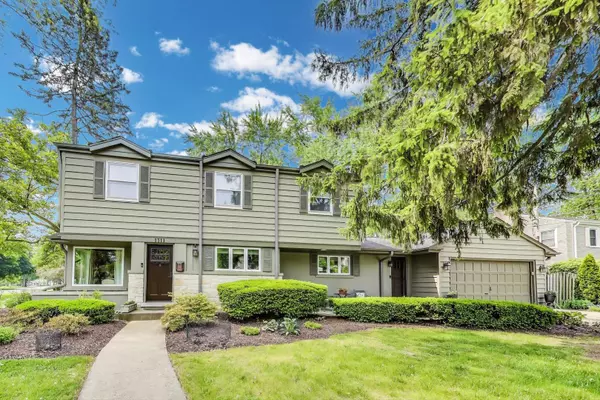 1311 E Woodford PL, Arlington Heights, IL 60004
