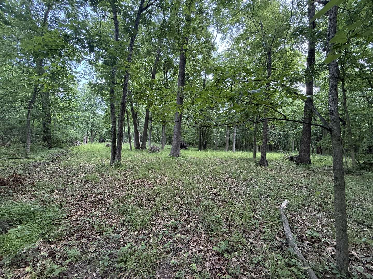 Tiskilwa, IL 61368,Lot 235 Lake Thunderbird DR