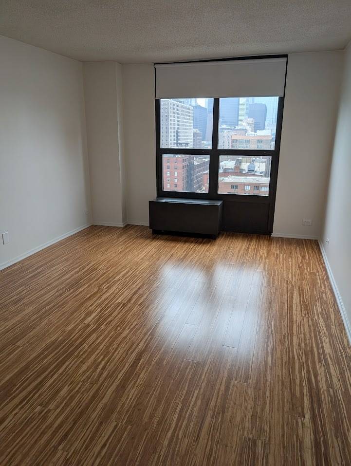 Chicago, IL 60605,899 S Plymouth CT #1703