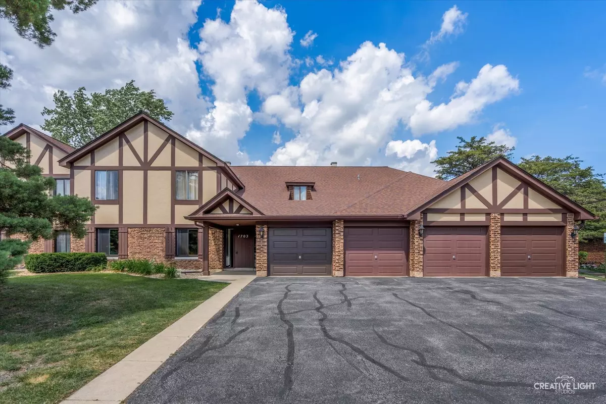 Wheaton, IL 60189,1703 LAKECLIFFE DR #D