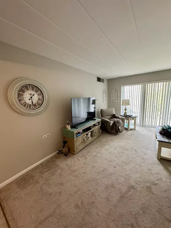 Downers Grove, IL 60515,5300 Walnut AVE #5C