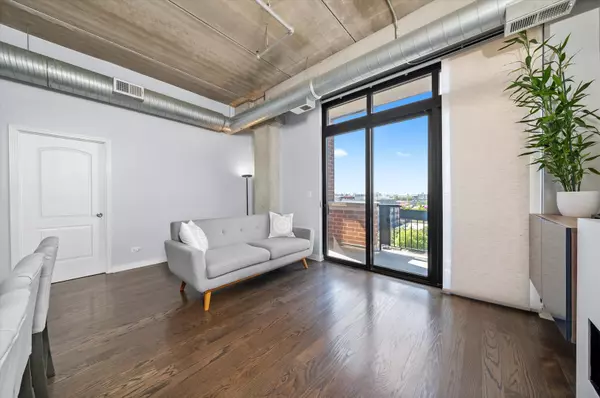 Chicago, IL 60608,811 W 15th PL #709
