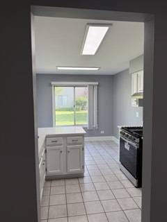 Woodridge, IL 60517,7020 ANDOVER CT #102