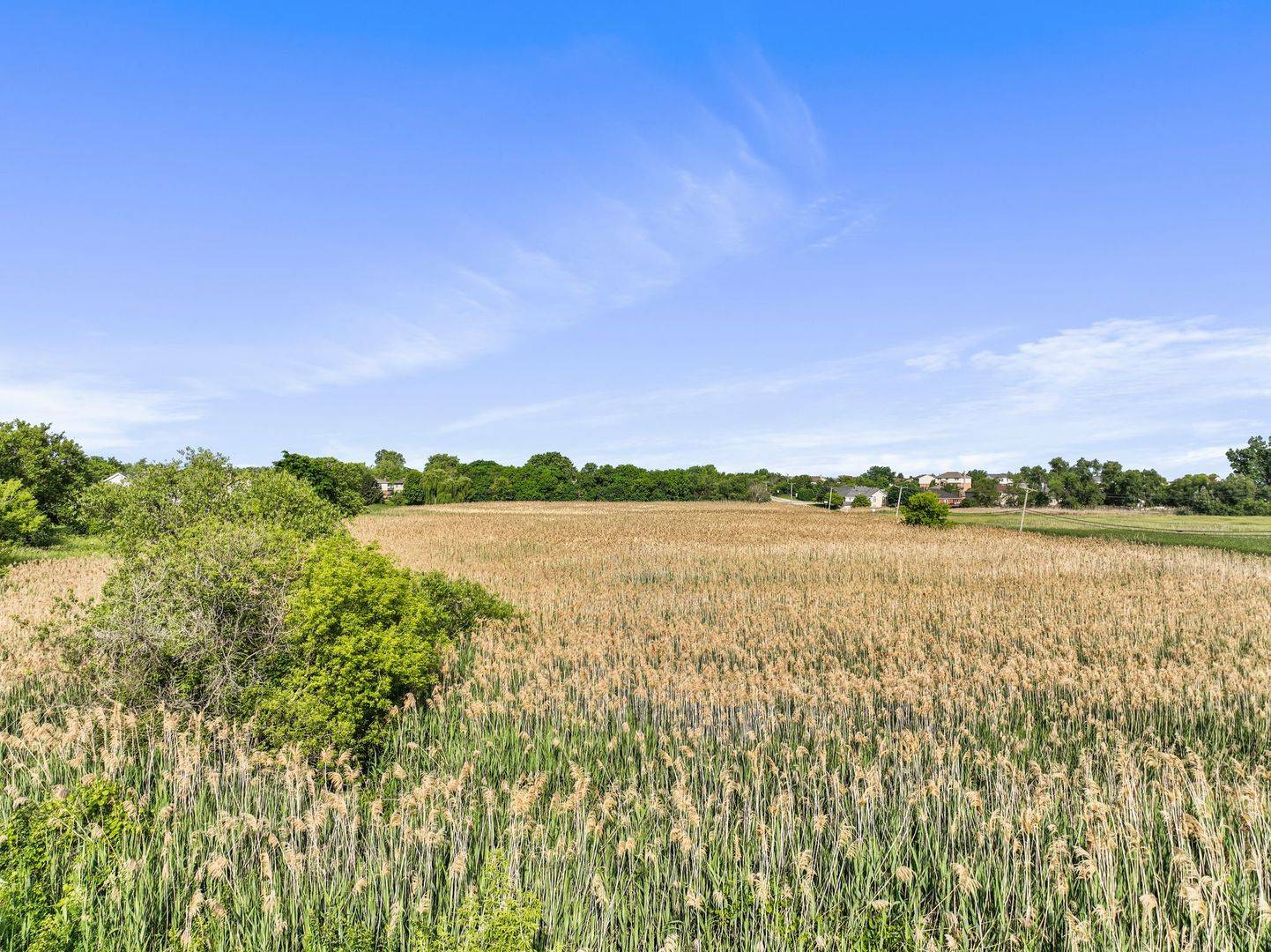 11501 W 143rd ST, Orland Park, IL 60467