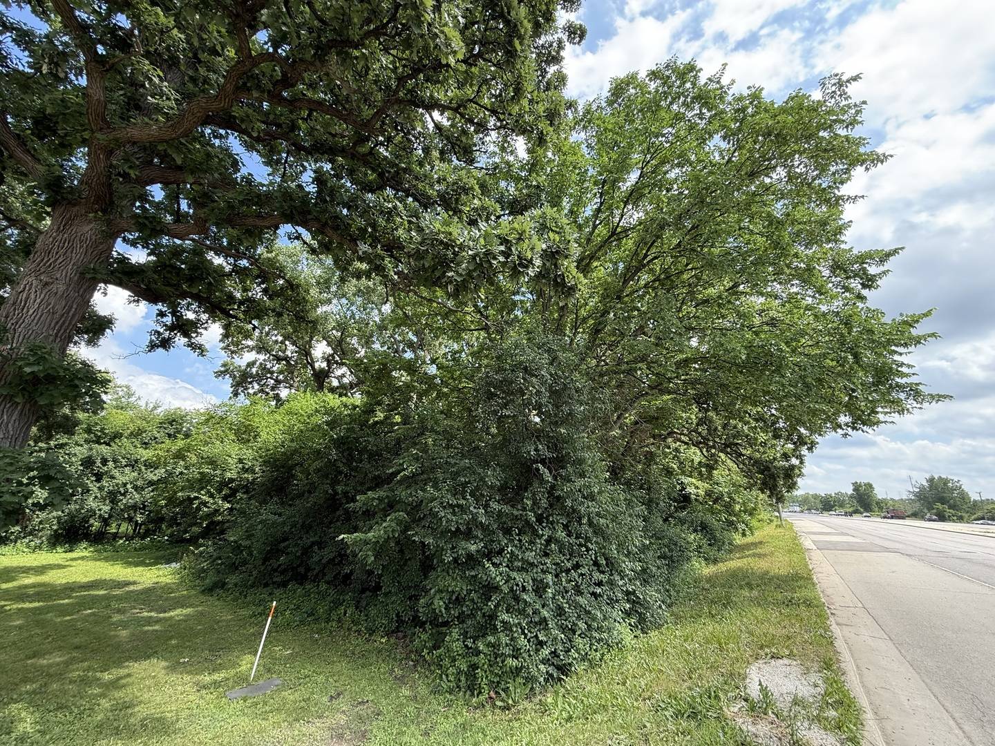 Elmhurst, IL 60126,211 N IL-83 HWY N