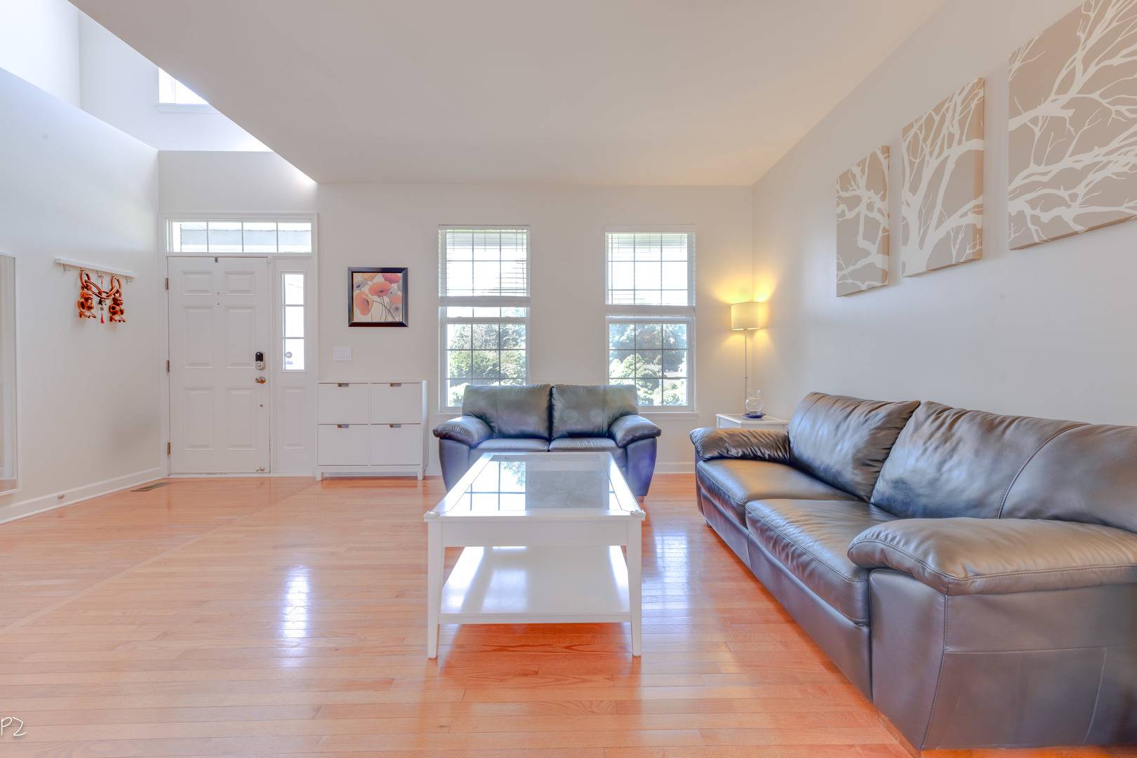 Naperville, IL 60565,704 DANIELLE CT