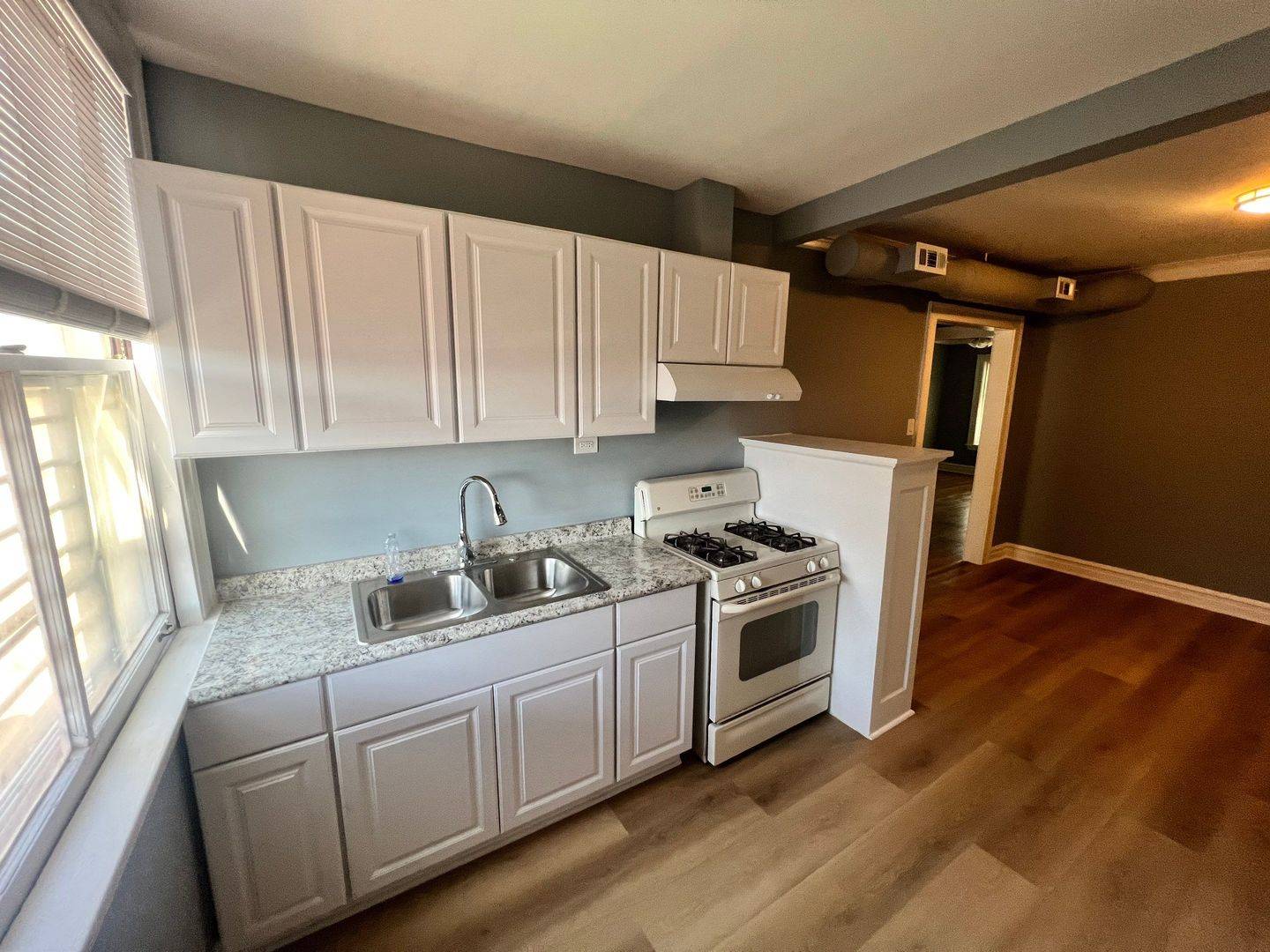 Chicago, IL 60629,3023 W 58th ST #2
