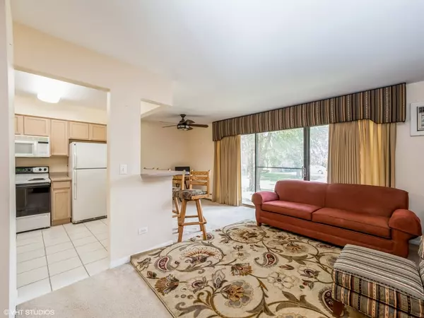 Vernon Hills, IL 60061,249 W Court of Shorewood #1B