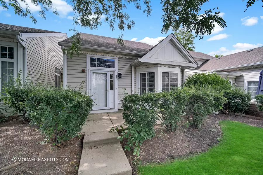203 E Victoria CIR #203, North Aurora, IL 60542