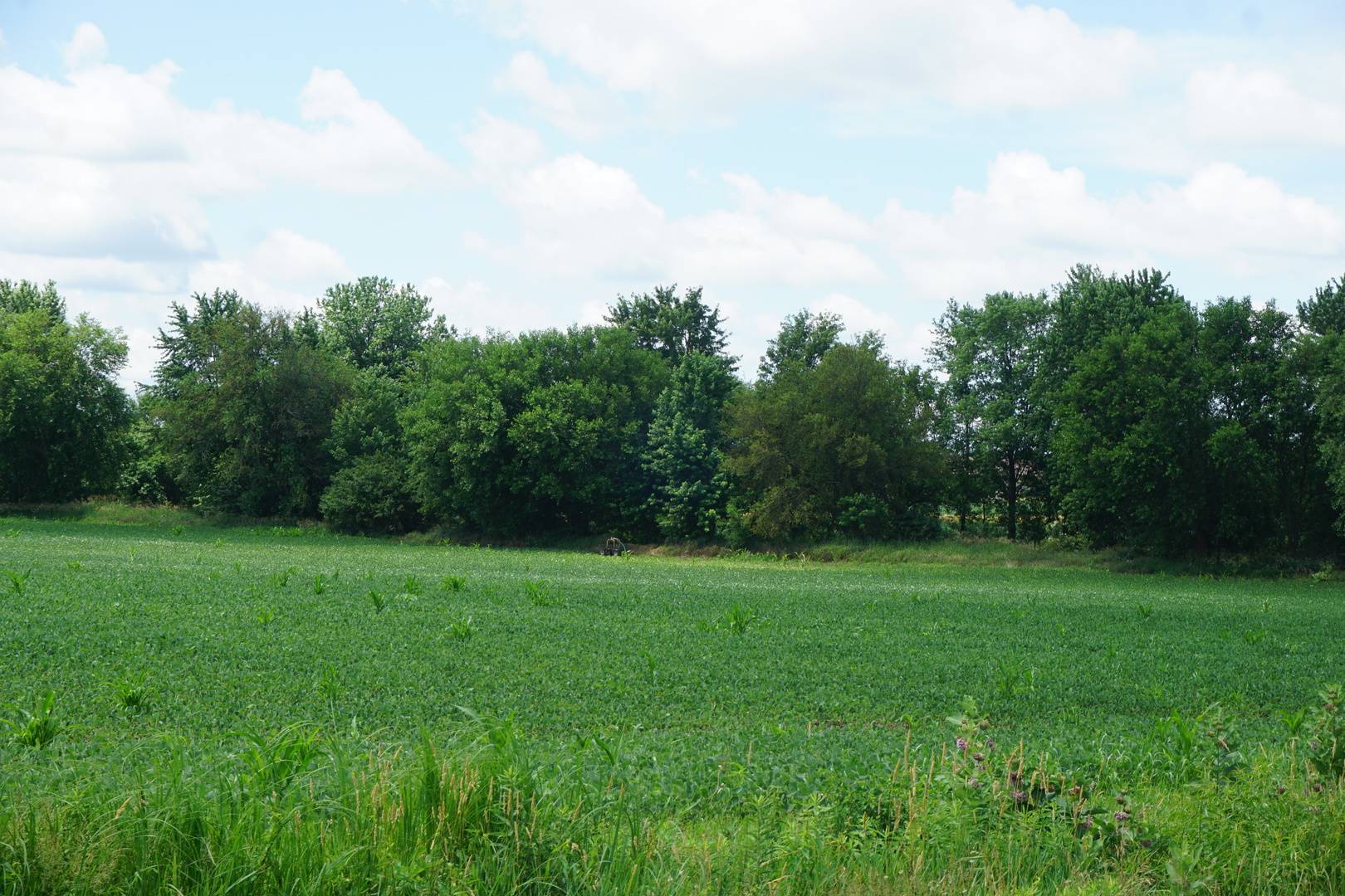 Grant Park, IL 60940,11338 E 9000 N RD