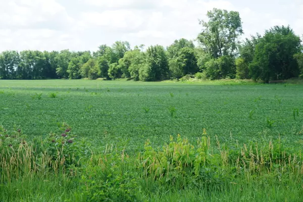 Grant Park, IL 60940,11338 E 9000 N RD