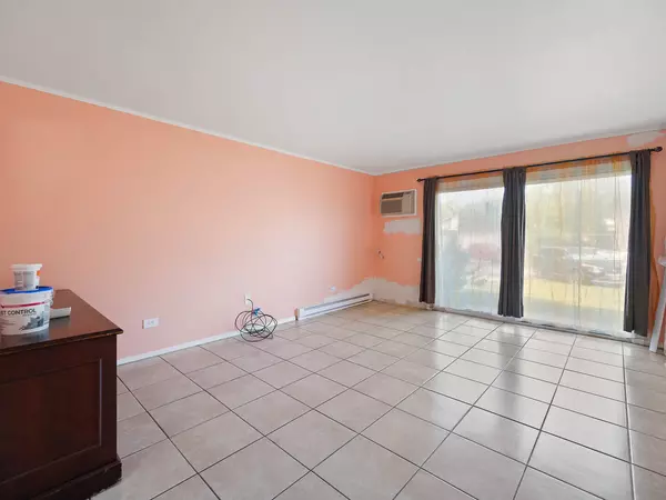 Prospect Heights, IL 60070,880 E Old Willow RD #174